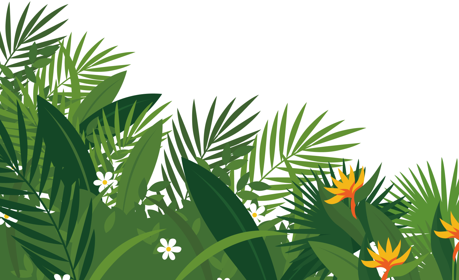 下の手前の草