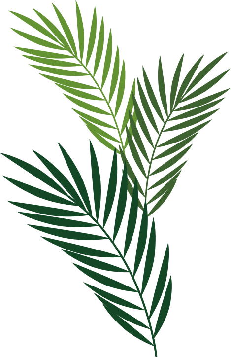 草