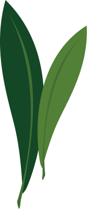 草