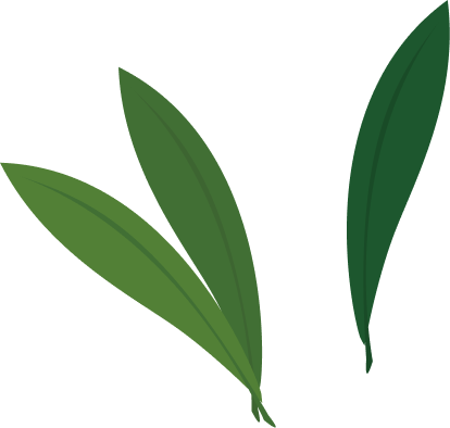 草