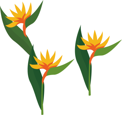 草